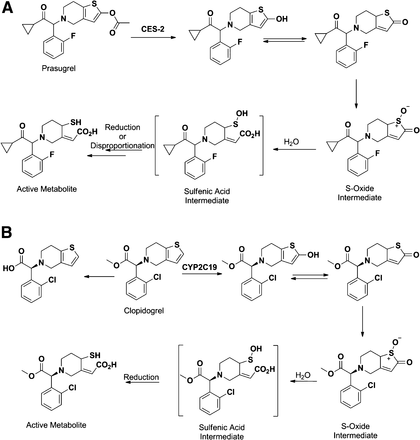 Fig. 9.