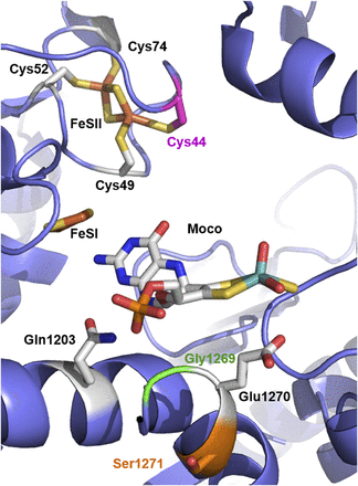 Fig. 2.