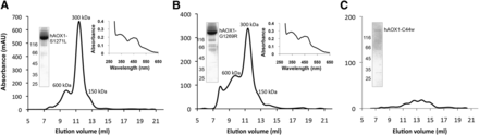 Fig. 3.