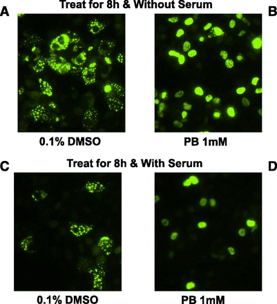 Fig. 12.