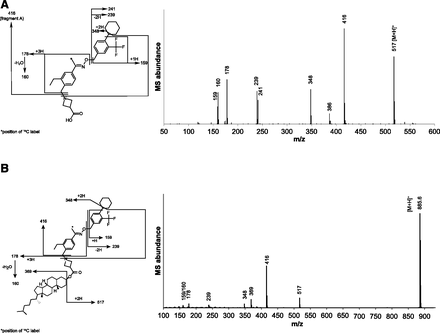 Fig. 4.