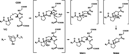 Fig. 8.