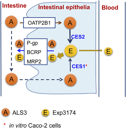 Fig. 7.