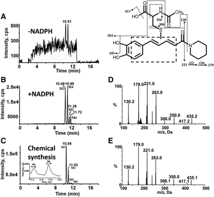 Fig. 8.