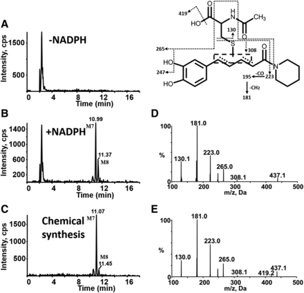 Fig. 9.