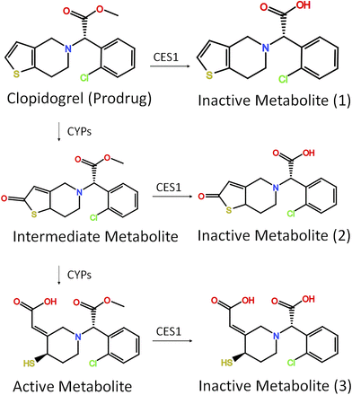 Fig. 3.