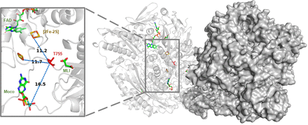 Fig. 6.