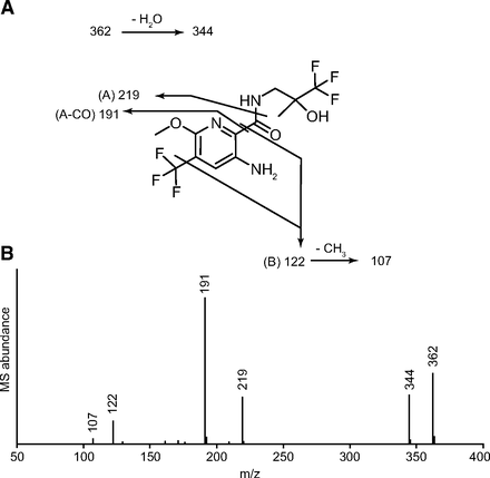 Fig. 6.