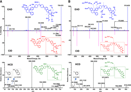 Fig. 4.