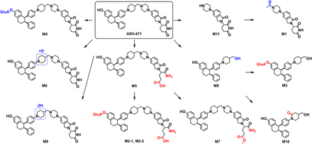 Fig. 7.