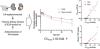 Augmented Clearance of Nivolumab Is Associated with Renal Functions in Chronic Renal Disease Model Rats