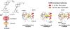 Specificity of the Redox Complex between Cytochrome P450 24A1 and Adrenodoxin Relies on Carbon-25 Hydroxylation of Vitamin-D Substrate