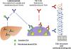 Impact of Different Selectivity between Soluble and Membrane-bound Forms of Carcinoembryonic Antigen (CEA) on the Target-mediated Disposition of Anti-CEA Monoclonal Antibodies