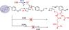 Metabolism of Strained Rings: Glutathione <em>S</em>-transferase–Catalyzed Formation of a Glutathione-Conjugated Spiro-azetidine without Prior Bioactivation