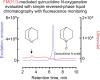 Quinuclidine <em>N</em>-Oxygenation Mediated by Flavin-Containing Monooxygenases 1 and 3 in Kidney and Liver Microsomes from Humans, Monkeys, Dogs, and Pigs