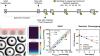 Evaluation and Optimization of a Microcavity Plate–Based Human Hepatocyte Spheroid Model for Predicting Clearance of Slowly Metabolized Drug Candidates