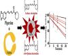 Piperine Is a Mechanism-Based Inactivator of CYP3A