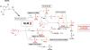 In Vitro Characterization and Rescue of VX Metabolism in Human Liver Microsomes