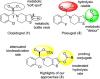 Pharmacokinetic/Pharmacodynamic Assessment of the Structural Refinement of Clopidogrel Focusing on the Balance between Bioactivation and Deactivation