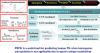 Assessment and Confirmation of Species Difference in Nonlinear Pharmacokinetics of Atipamezole with Physiologically Based Pharmacokinetic Modeling