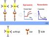 Development of a Gold Nanoparticle–Functionalized Surface Plasmon Resonance Assay for the Sensitive Detection of Monoclonal Antibodies and Its Application in Pharmacokinetics